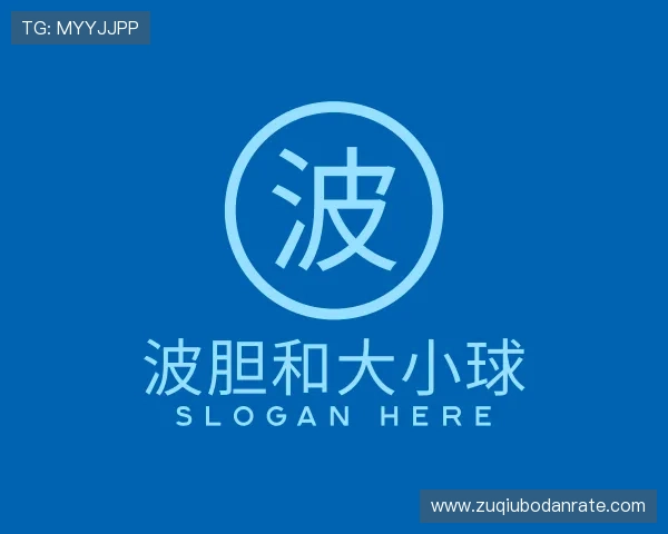 介绍足球数据分析
